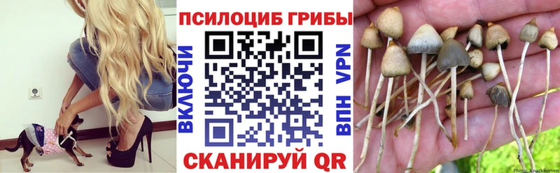 Купить где  Саяногорск  Галлюциногенные грибы Magic Shrooms 